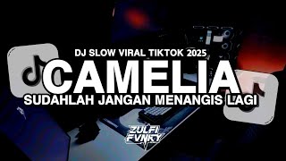 Download lagu DJ SLOW CAMELIA | SUDAHLAH JANGAN MENANGIS LAGI | VIRAL TIKTOK 2025  mp3