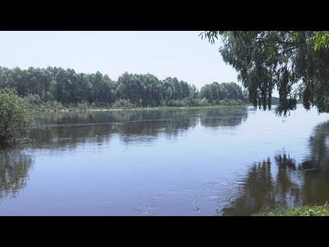 В Лоевском районе сотрудник МЧС спас двух девочек видео