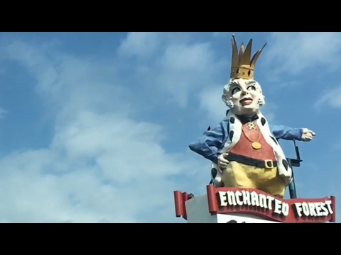 TDW 1785 - What Happened To The Enchanted Forest ?