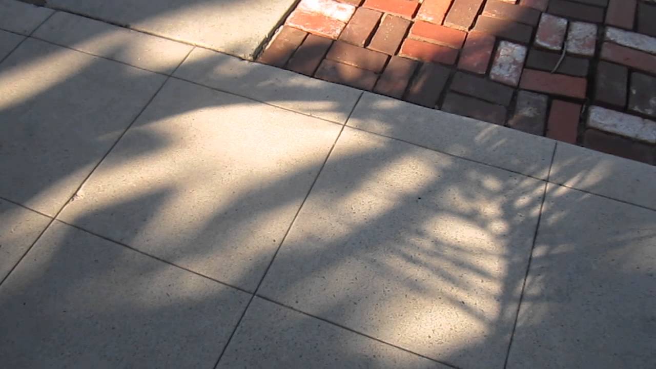 [Behance] Setup to my Behance Photos Playlist and Eviction update.