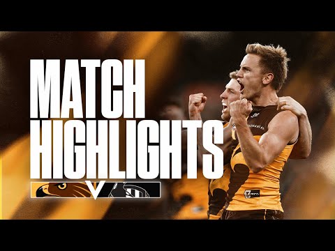 Hawthorn v Collingwood | Match Highlights - Round 21, 2023