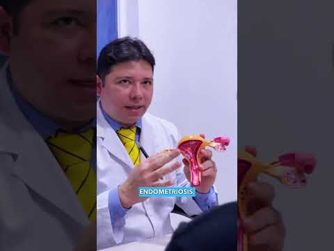 Tratamiento de fertilidad en Santa Marta con el Dr. Yeisman Pineda