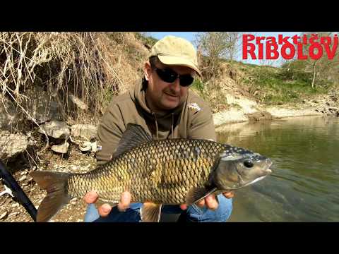 Praktični ribolov - ribolov plotice na travu (alga kladofora) ep.1
