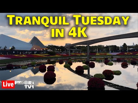 🔴4K Live: Tranquil Tuesday at Epcot in 4K - Walt Disney World Live Stream - 5-28-24