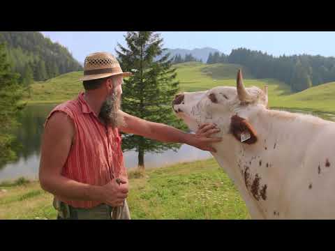 ARCHE Alm Seewaldsee