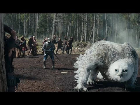 Owl Bear Scene// Dungeons Dragons Honor Among Thieves 2023