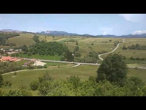 Coline în Harghita 🌄 la izvoarele râurilor Olt & Mureș 🌳🌱🍃🌿