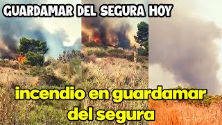 incendio en guardamar del segura | guardamar del segura hoy | Spain