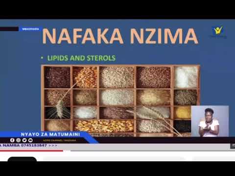 CHAKULA BORA KWA MWANAUME