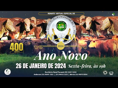 LOTE 99 - 06 VAQUILHONAS - GORDAS