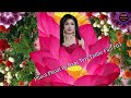 Phool Phool Pe Bani Teri Tasveer Status Video Phool Phool Pe Likha Hai Tera Naam Baharon Dk24