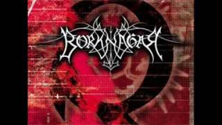 Borknagar - The Presence is Ominous