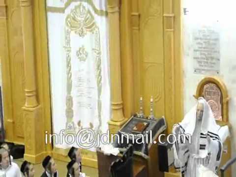 Sukkos 5772 With Seret Visnitz Rebbe