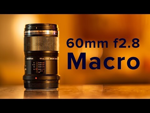 Video thumbnail for Video Review 3