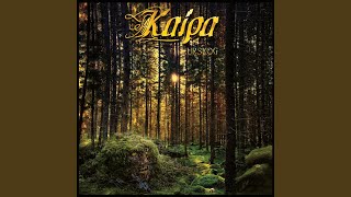 In a World of Pines