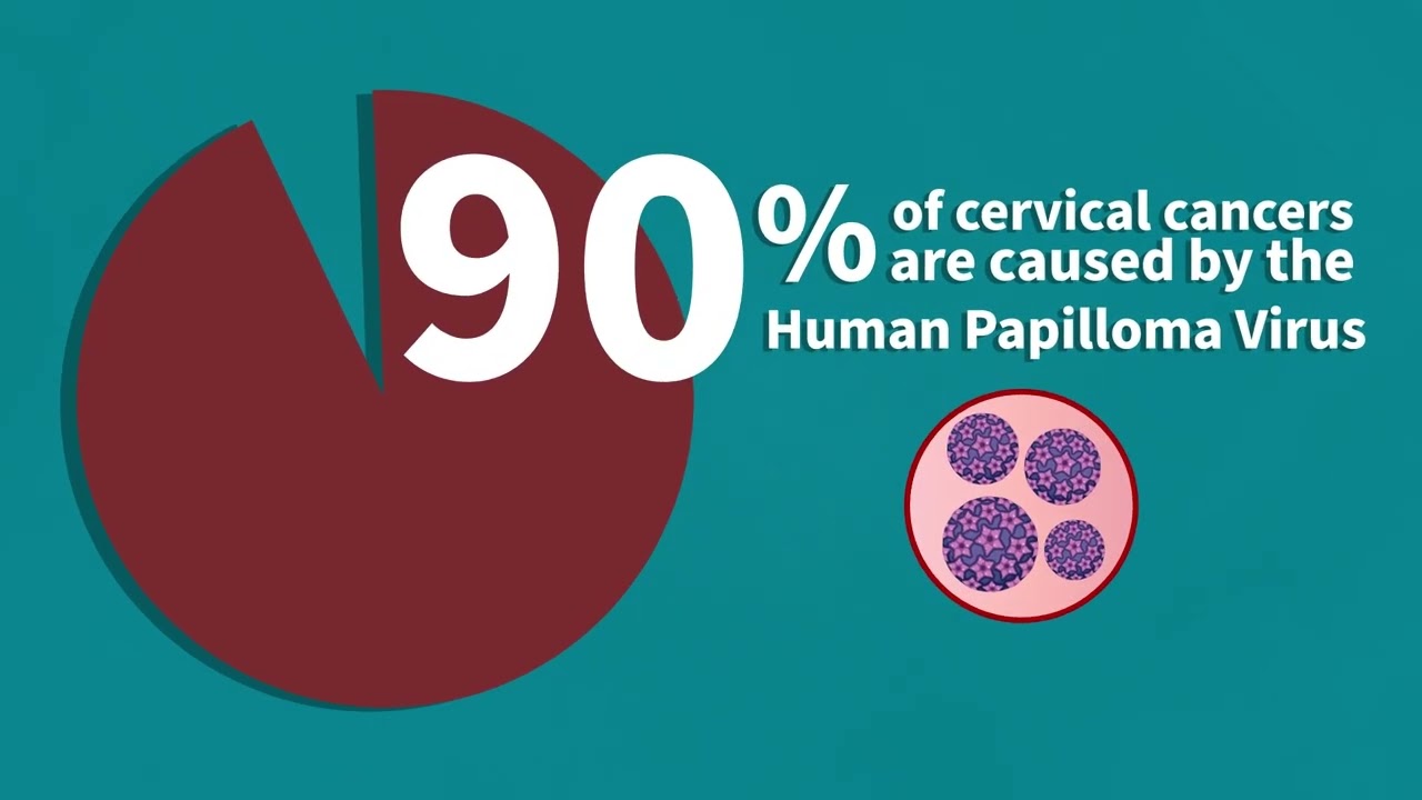 HPV Vaccines, Cervical Cancer, and the Right to Health