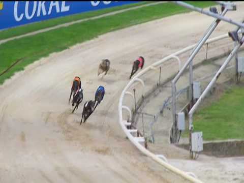 2017 CORAL SPRINT FINAL - T3 WALK THE TALK