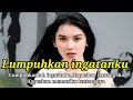 Lirik Lumpuhkan Ingatanku Geisha Shakira Jasmine