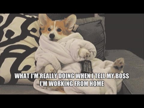 エレンは関連性のある検疫GIFと信じられないほどの才能を共有しています。 (Ellen Shares Relatable Quarantine GIFs and Incredible Talents)