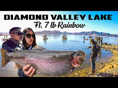 DIAMOND VALLEY LAKE | 7 POUNDER | JAM PACKED ACTION