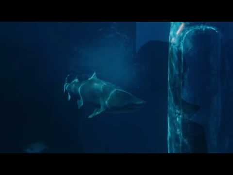 Sherlock - Appointment in Samarra