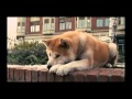 Hachiko A Dog's Story Music