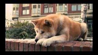 Hachiko A Dog's Story Music Video From Movie