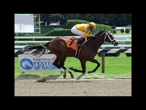 My Reaction To Dreaming of Julia Tribute