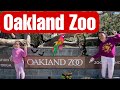 Oakland Zoo Tour #oakland #oaklandzoo #zoo #animals