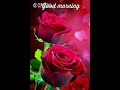 Ruperi Valut Madachya Banat Ye Na Priya S Old Song Collection