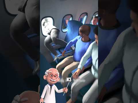 Что Будет Если Разбить Окно в Самолете? 😨 #shorts #факты #интересное