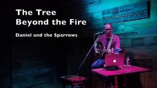 The Tree Beyond the Fire - live @ Uncommon Grounds