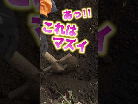 夏の嵐：大雨から家庭菜園を守るための 6 つのヒント  庭園