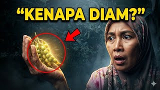 Download lagu Kenapa tidak ada yang membicarakan kacang gude/kacang hiris ❓ mp3 Download lagu Kenapa tidak ada yang membicarakan kacang gude/kacang hiris ❓ mp3