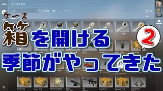 【CS:GO】誰にも迷惑をかけないケースを開ける動画＃2