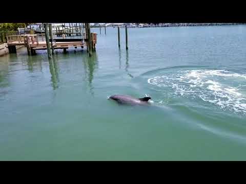 125 Devon Dr Clearwater beach FL 33767