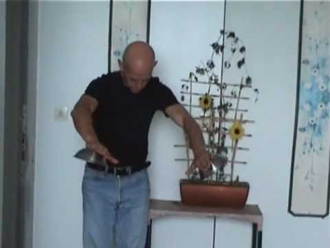 Franz Anton Mesmer animal magnetism.