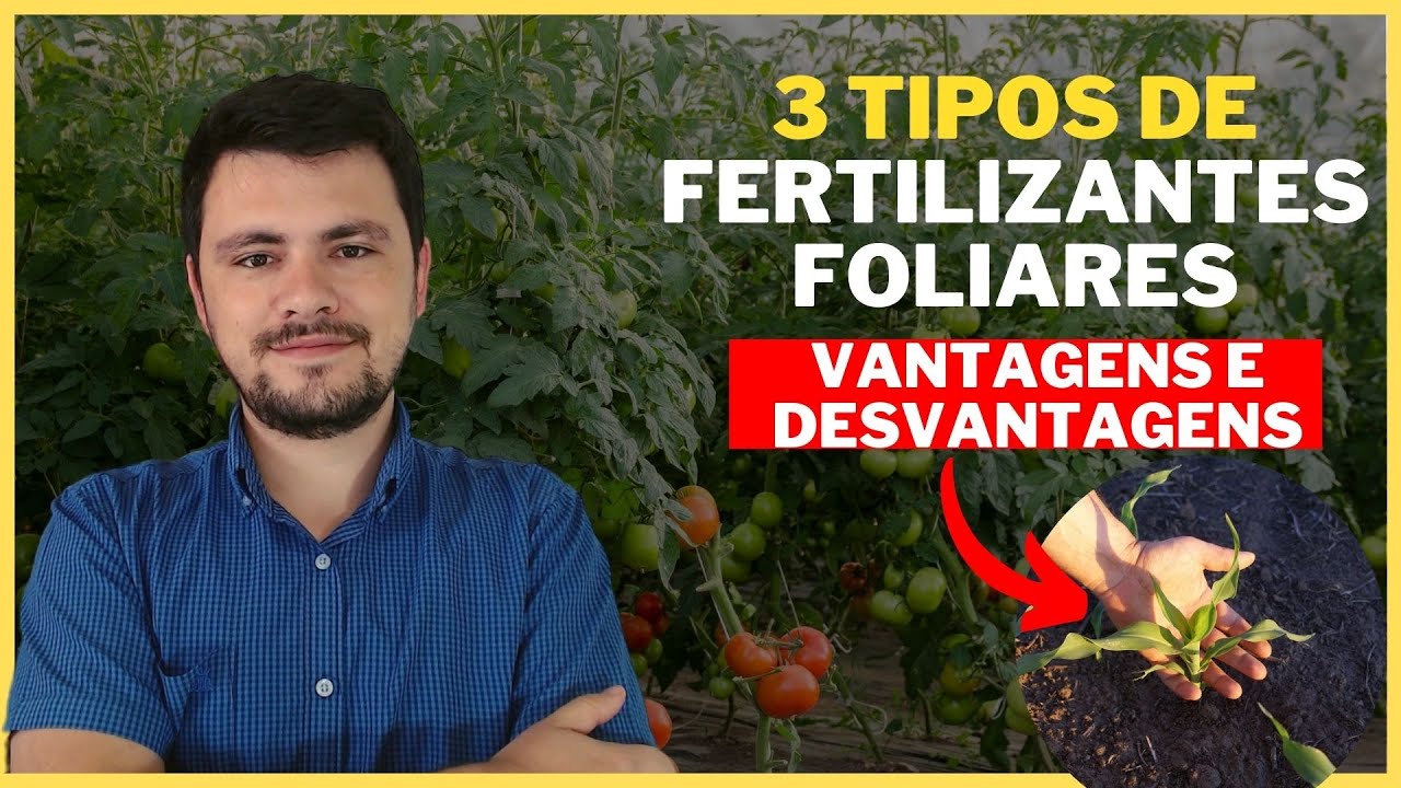 3 tipos de ADUBOS FOLIARES I Vantagens e Desvantagens de cada um