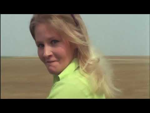 les  babacools-lluvia sol