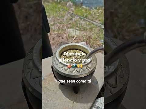 SQpesca   🎣  rio Malargüe mendoza