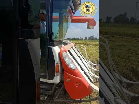 حصاد اليوم 4/9/2021 Kubota ARN 105