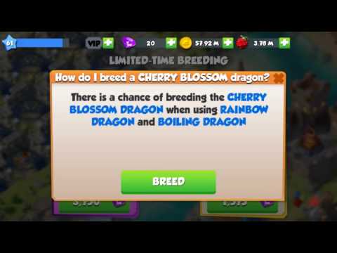 Cherry Blossom Dragon Breeding Guide
