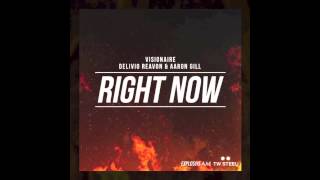 Visionare, Delivio Reavon & Aaron Gill - Right Now (Original Mix)