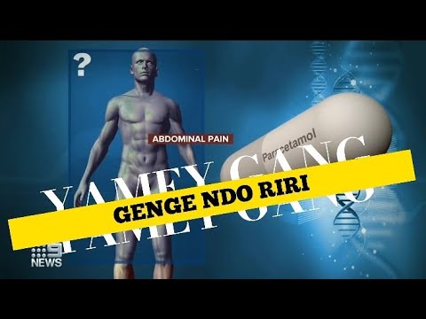 Yamey Gang - Paracetamol ( Official Audio Visualizer) To Support Yamey Gang; M-Pesa Till No: 5925141