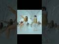 Dabidi Dibidi Full Video Song Daaku Maharaaj NBK Urvashi Rautela Bobby Kolli Thaman S