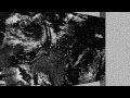 Silver Firs - Icarus 