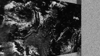 Silver Firs - Icarus