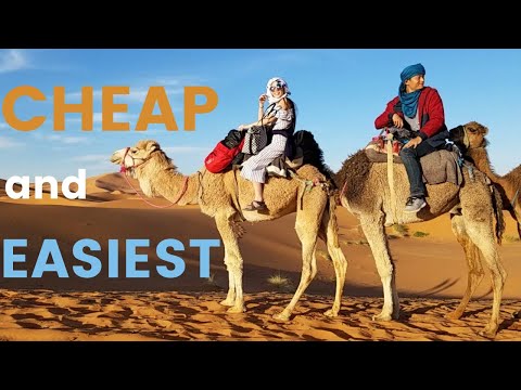 image-What are the best day trips from Marrakesh?