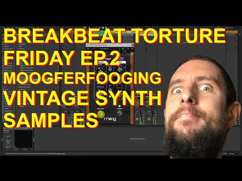 Breakbeat Torture Friday EP.2 - Moogerfoogers are cool