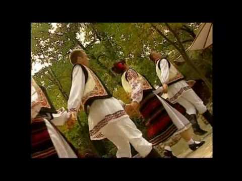 Barbatelul meu, cel bun. Anisoara Prisacaru